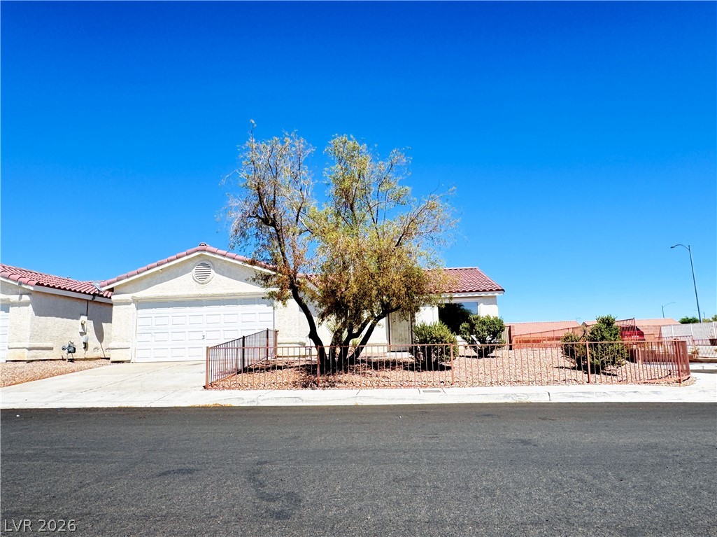 5218 Jungle Orchard Street