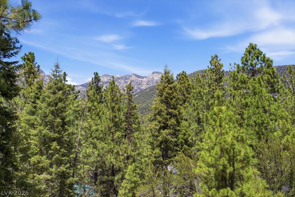 3953 Ski Trail Circle