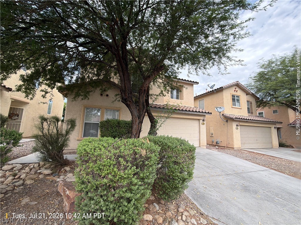11001 African Sunset Street