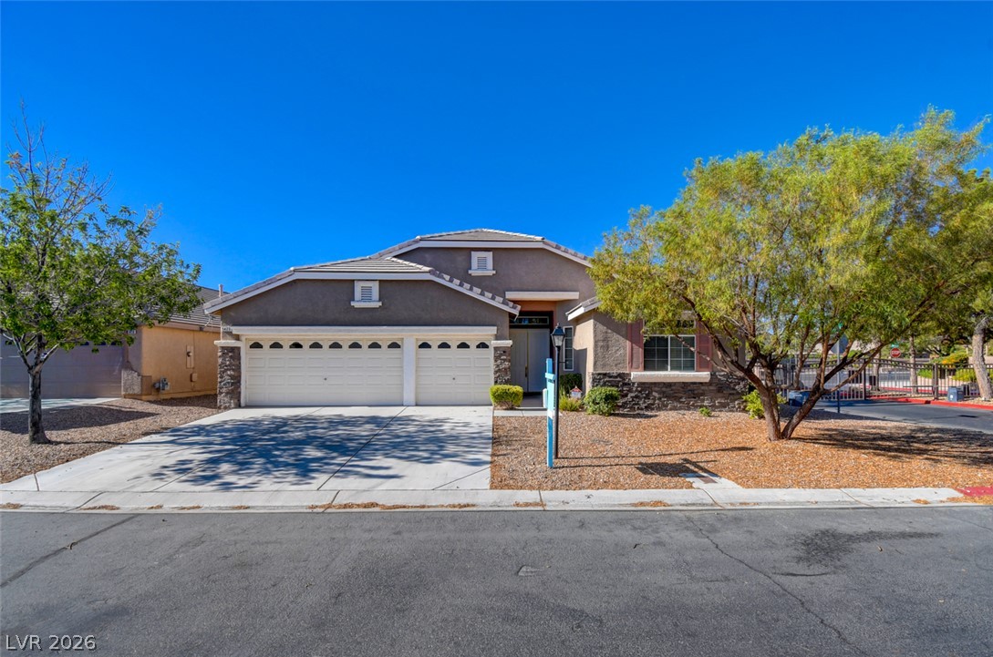 5423 Basset Hound Avenue