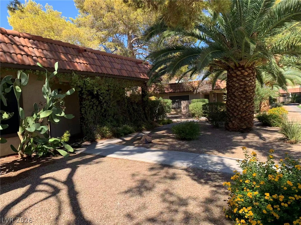 1897 Avacado Court