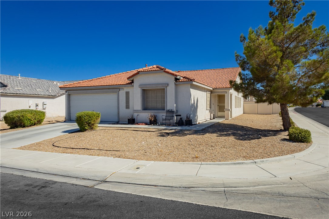 717 Bright Lights Avenue
