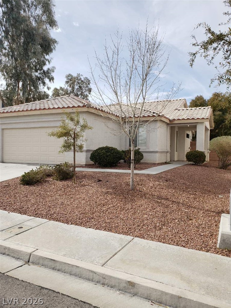 519 Siberia Street
