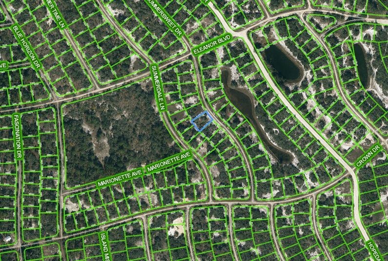 316 SUMMERSWEET DRIVE