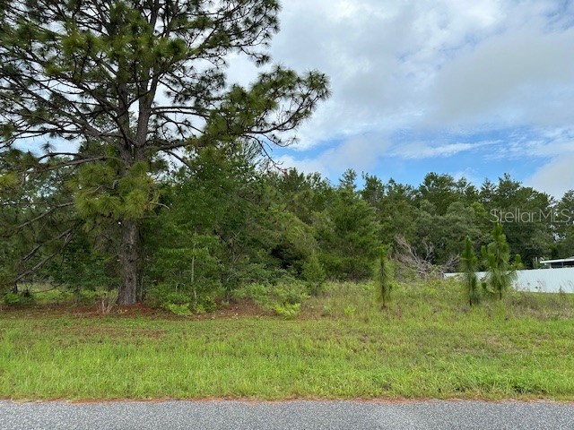 Lot 6 SW 48 COURT ROAD