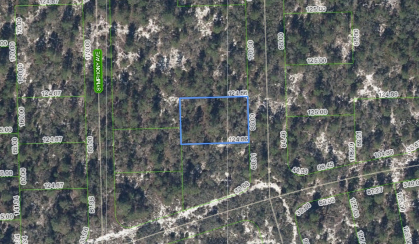 591 BLUE VELVET DRIVE