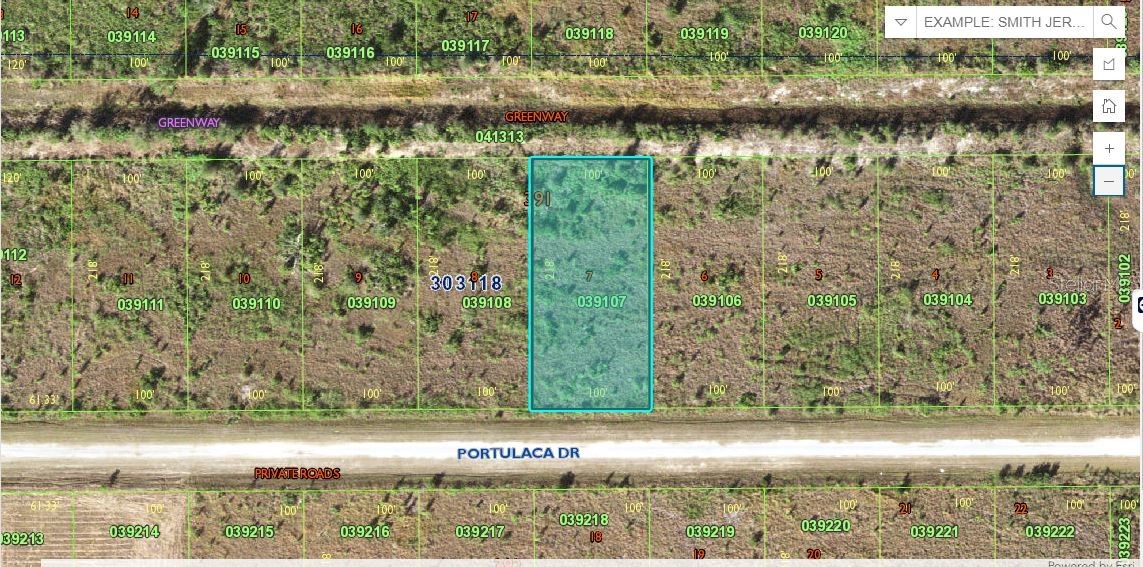 514 PORTULACA DRIVE