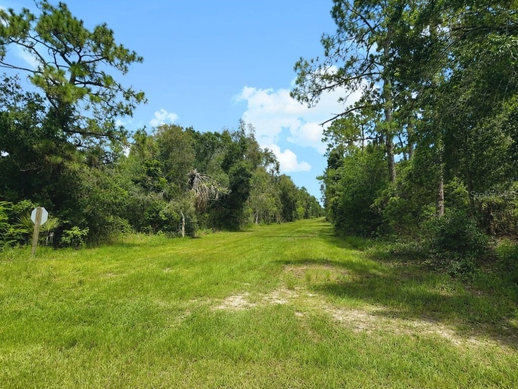 Blk 254 Lot 7 EL DORADO DRIVE