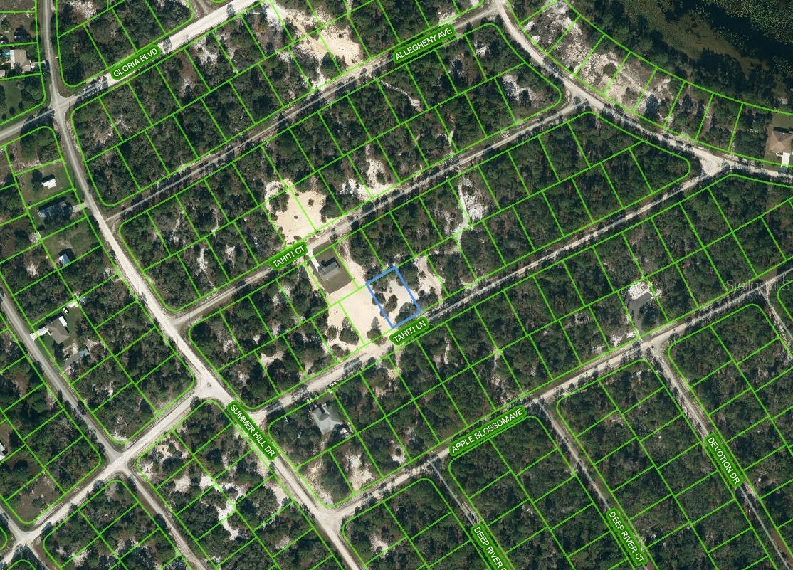 410 TAHITI LANE