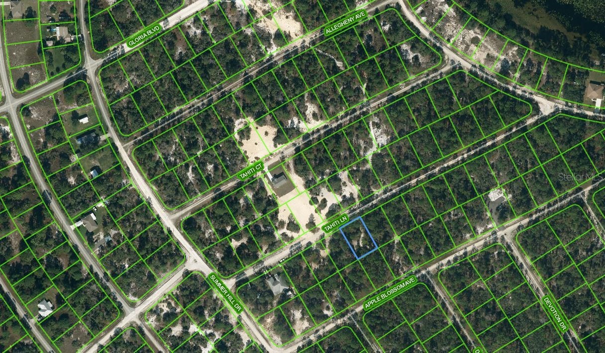 411 TAHITI LANE
