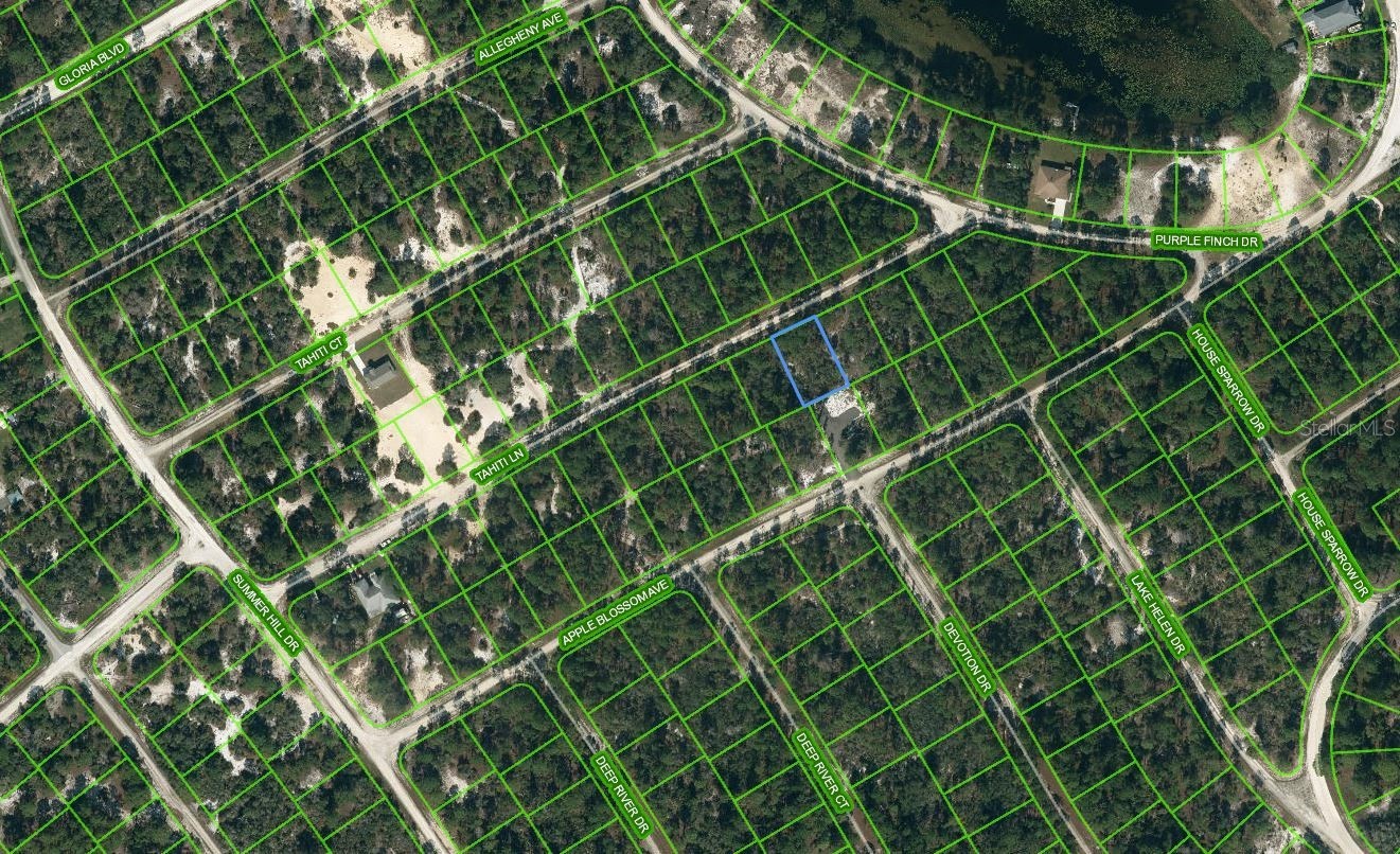 423 TAHITI LANE