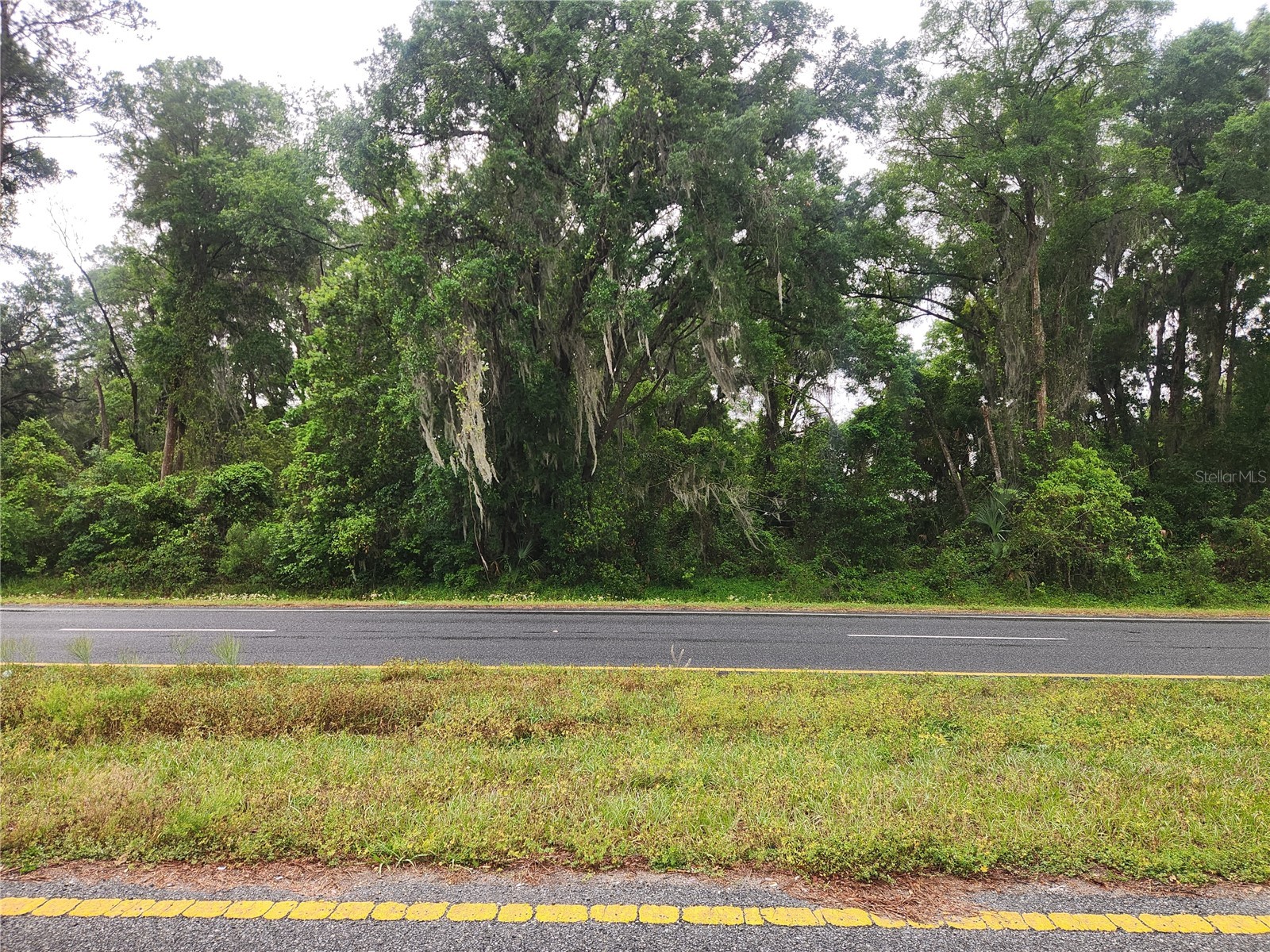 00 SE HWY 484