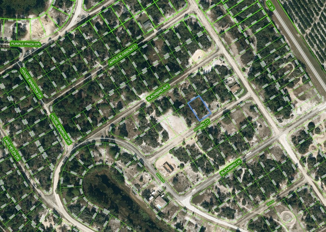 452 BLACKBIRD COURT