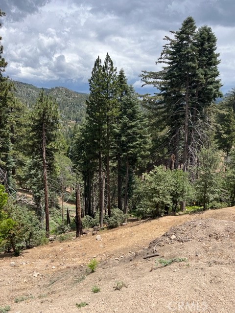 2349 Deep Creek