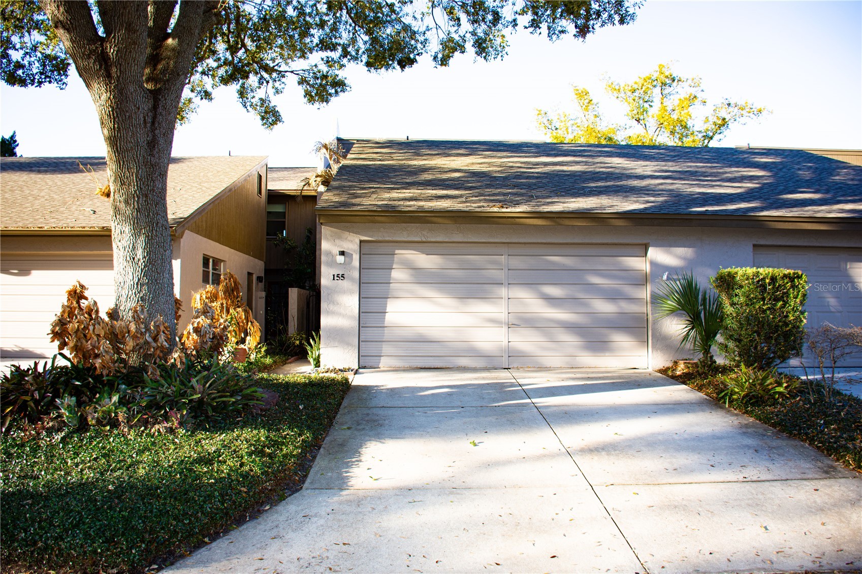 155 FALLWOOD STREET