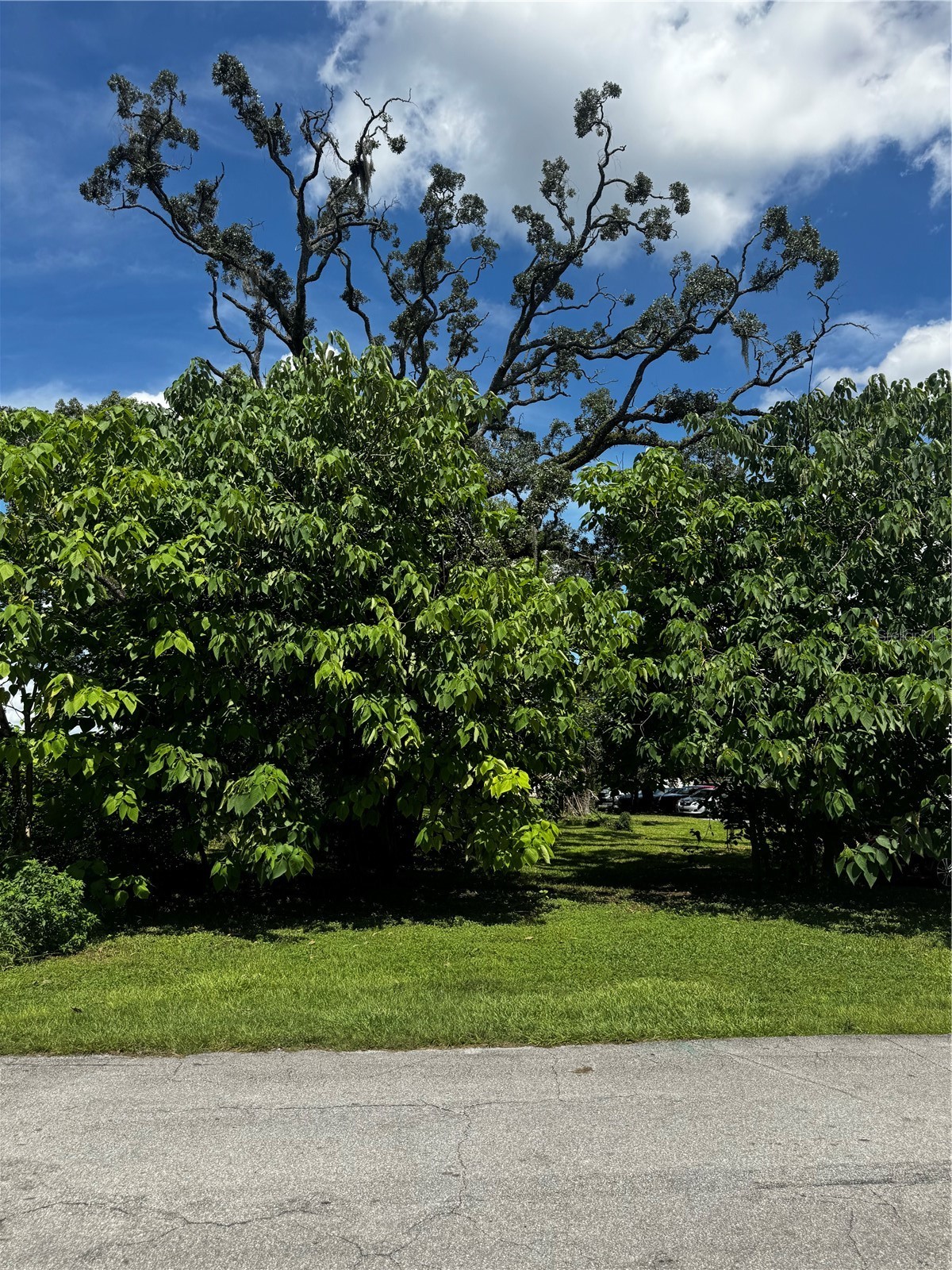 0 NW 10TH STREET