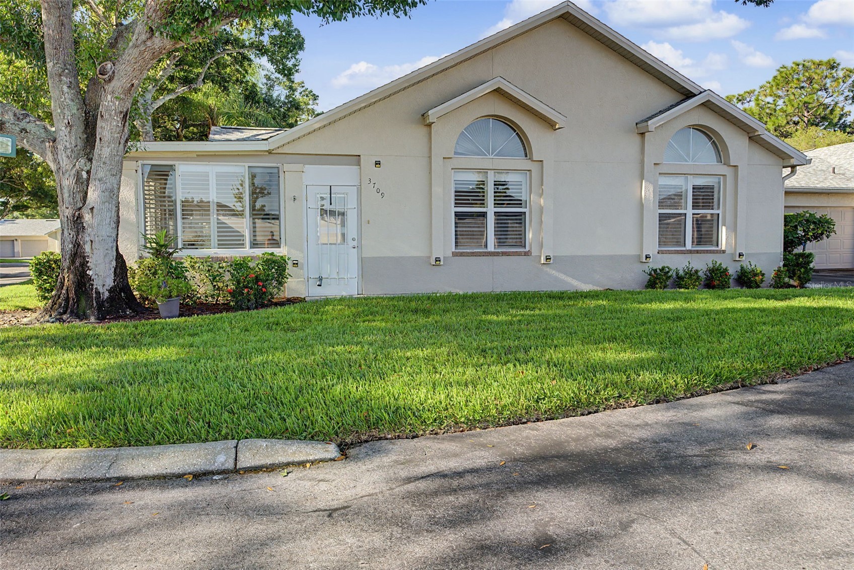3709 MOLLIE LANE