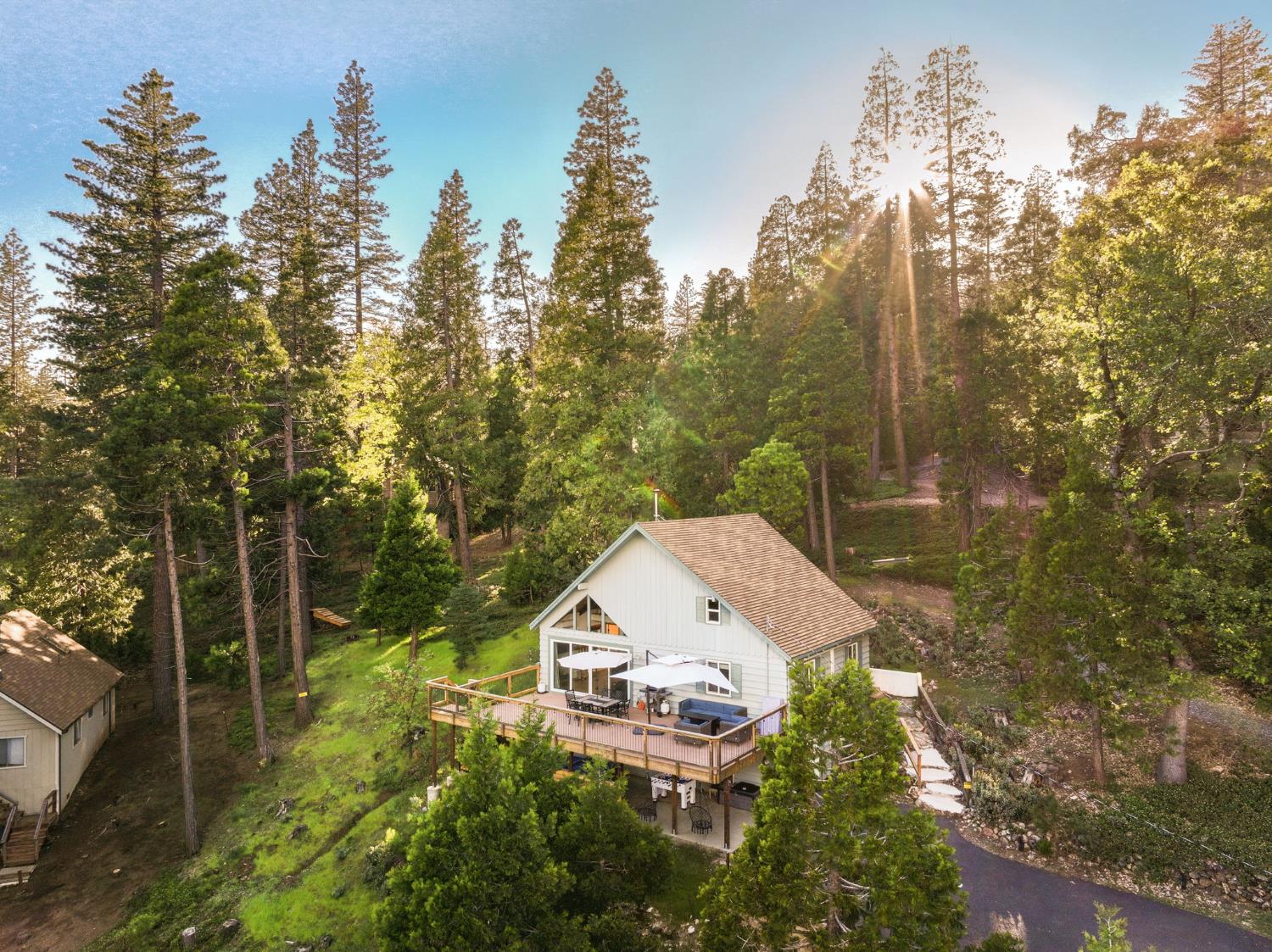 1622 Anna Lee Way, Arnold, CA 95223-7118