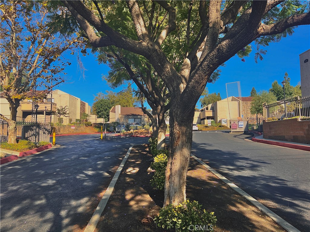3032 Associated Road 79