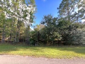 405 PANDORA DRIVE