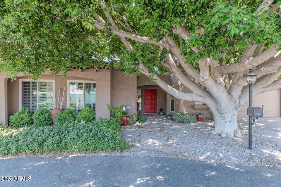 7302 E ROSE Lane, Scottsdale, AZ 85250