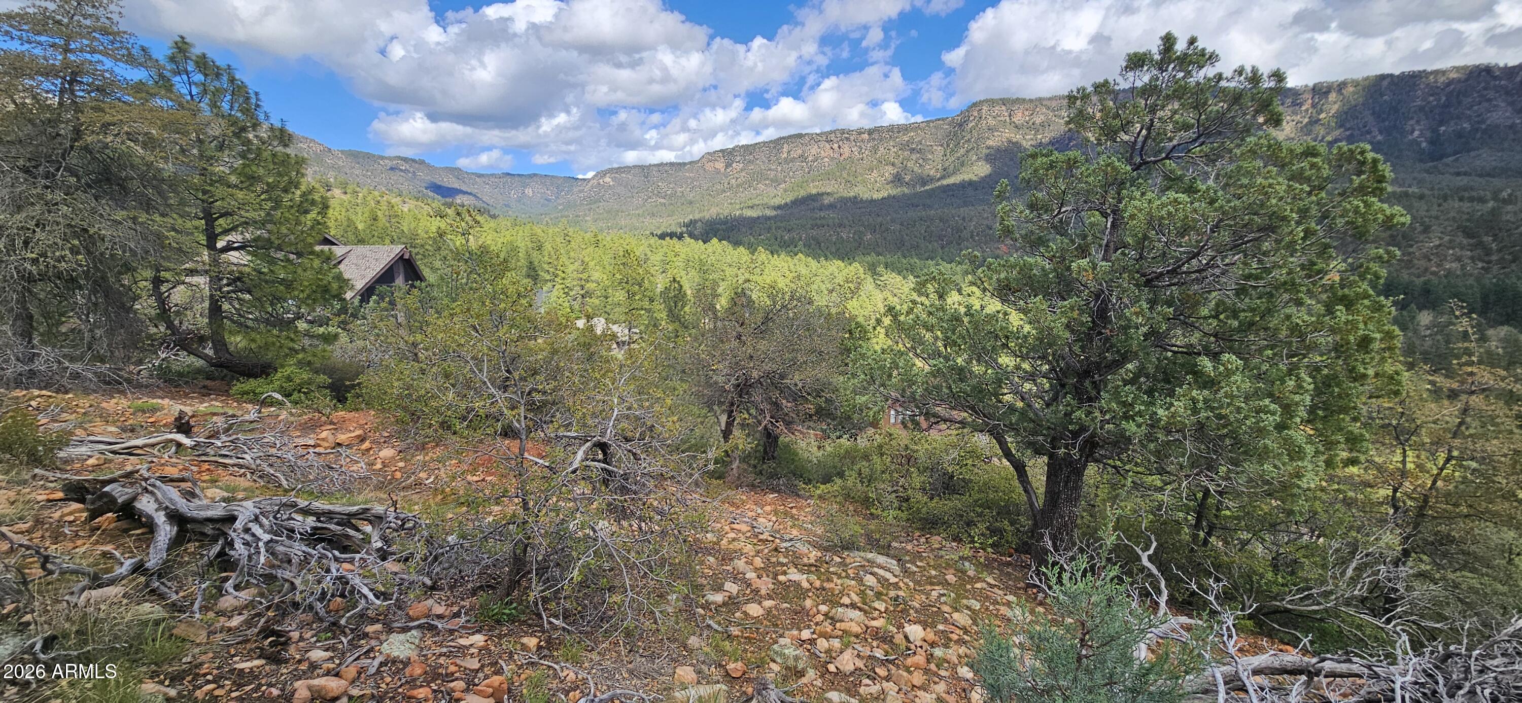 5059 N HILLTOP Drive 147, Pine, AZ 85544
