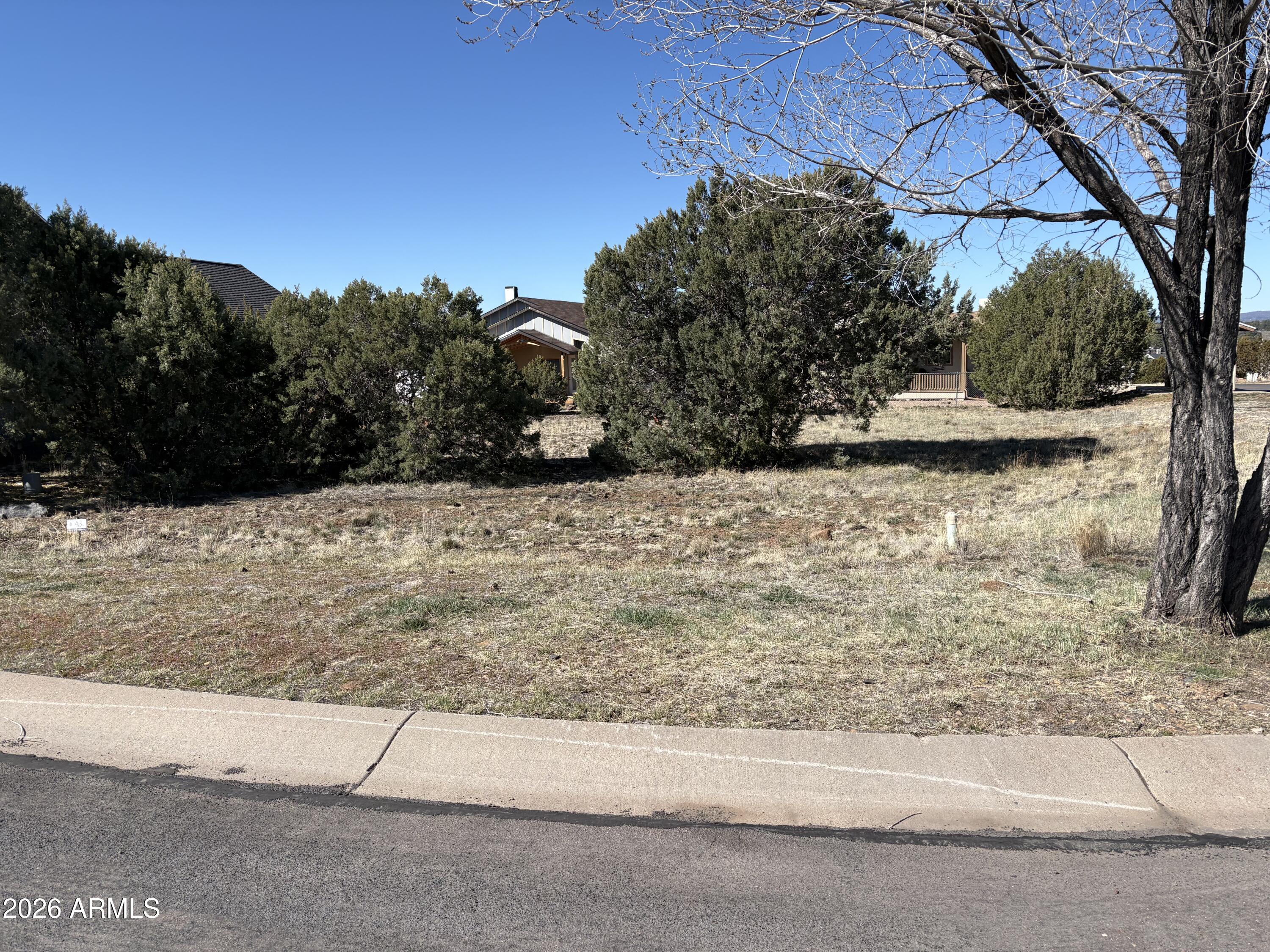 500 S RIDGE Drive 93, Show Low, AZ 85901