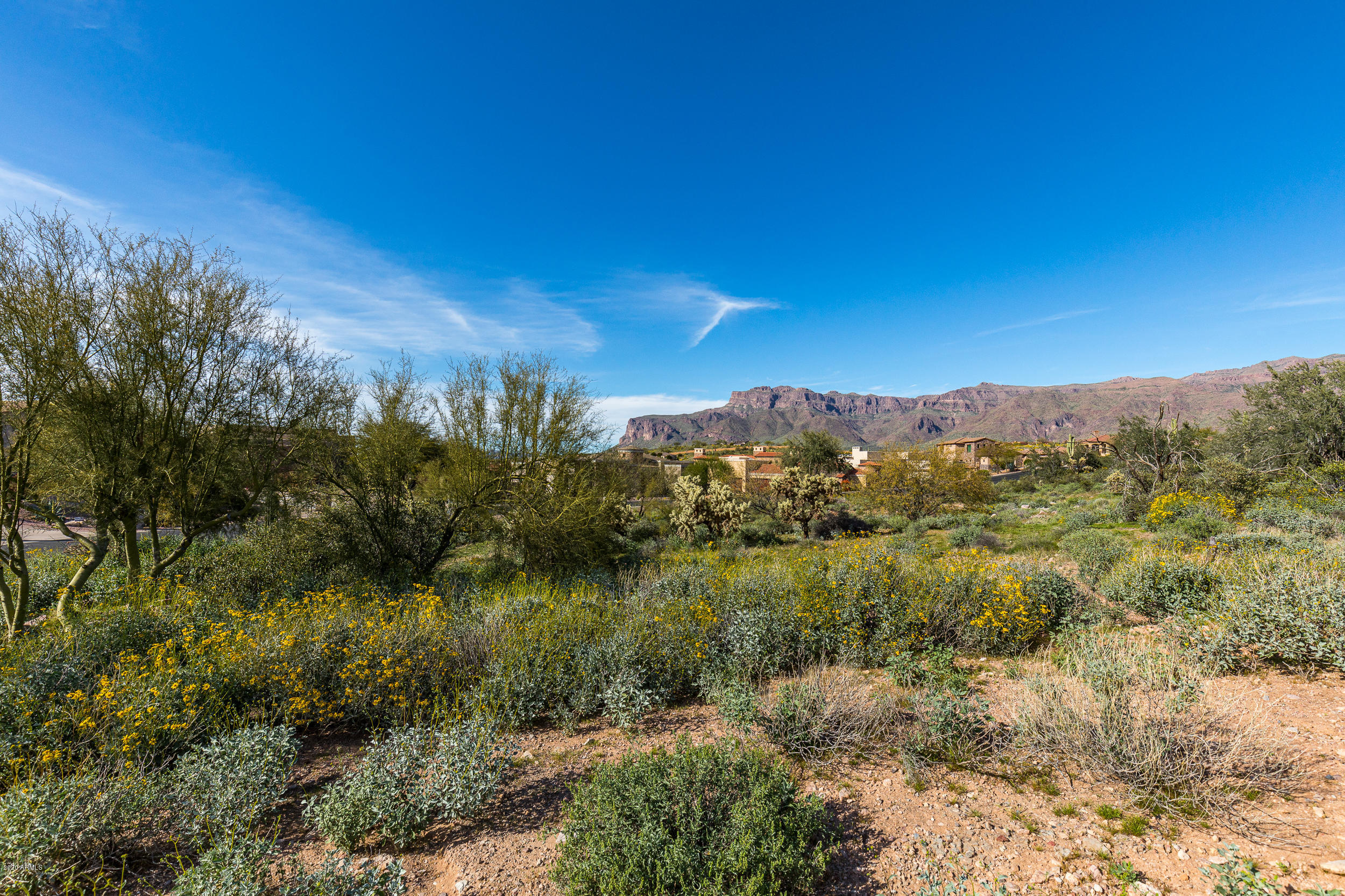 4121 S CAMINO DE VIDA 114, Gold Canyon, AZ 85118
