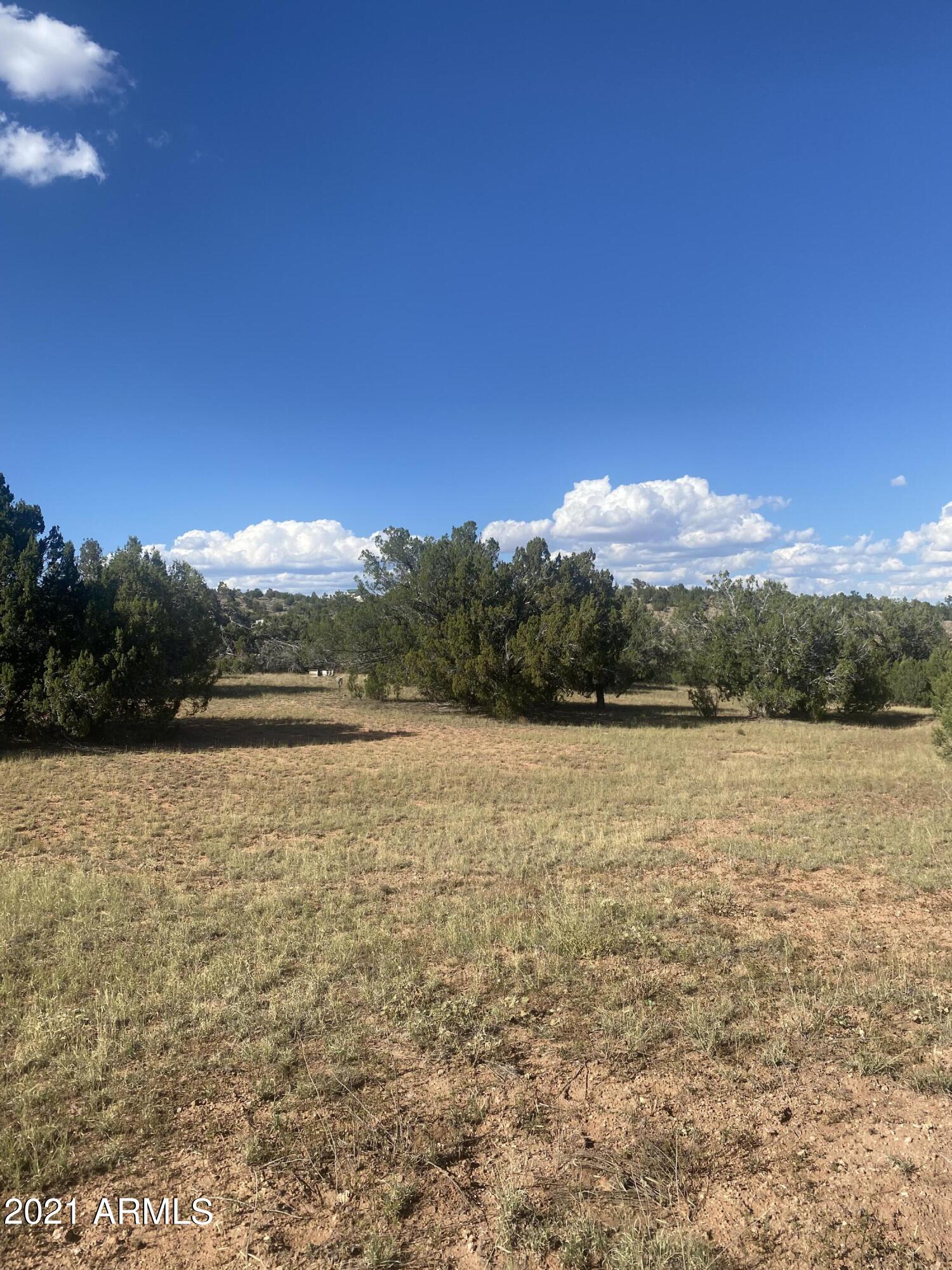 34720 W LA PLANCHA Parkway 5140, Seligman, AZ 86337