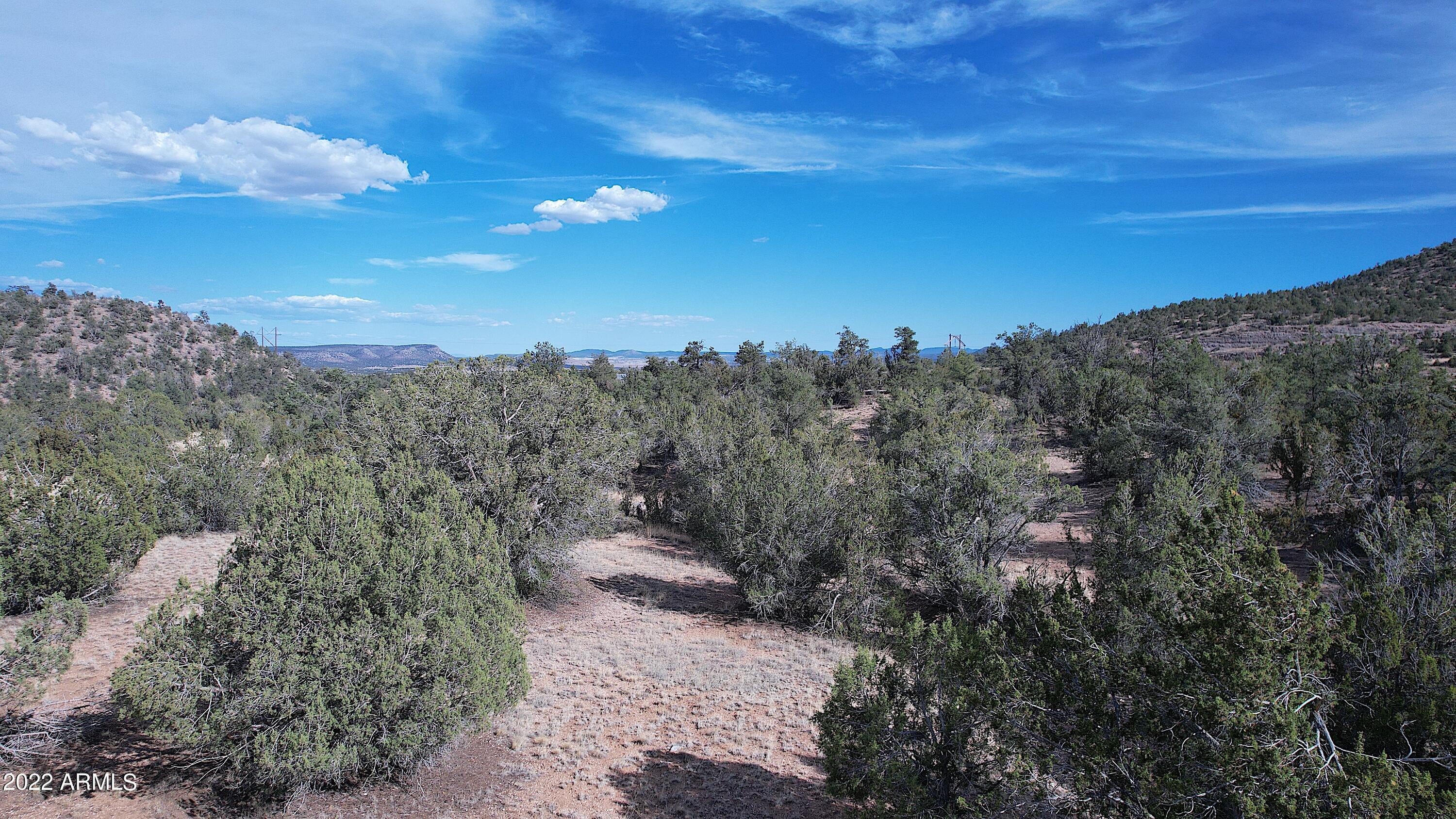 52471 N CAMINO GATO 2099, Seligman, AZ 86337
