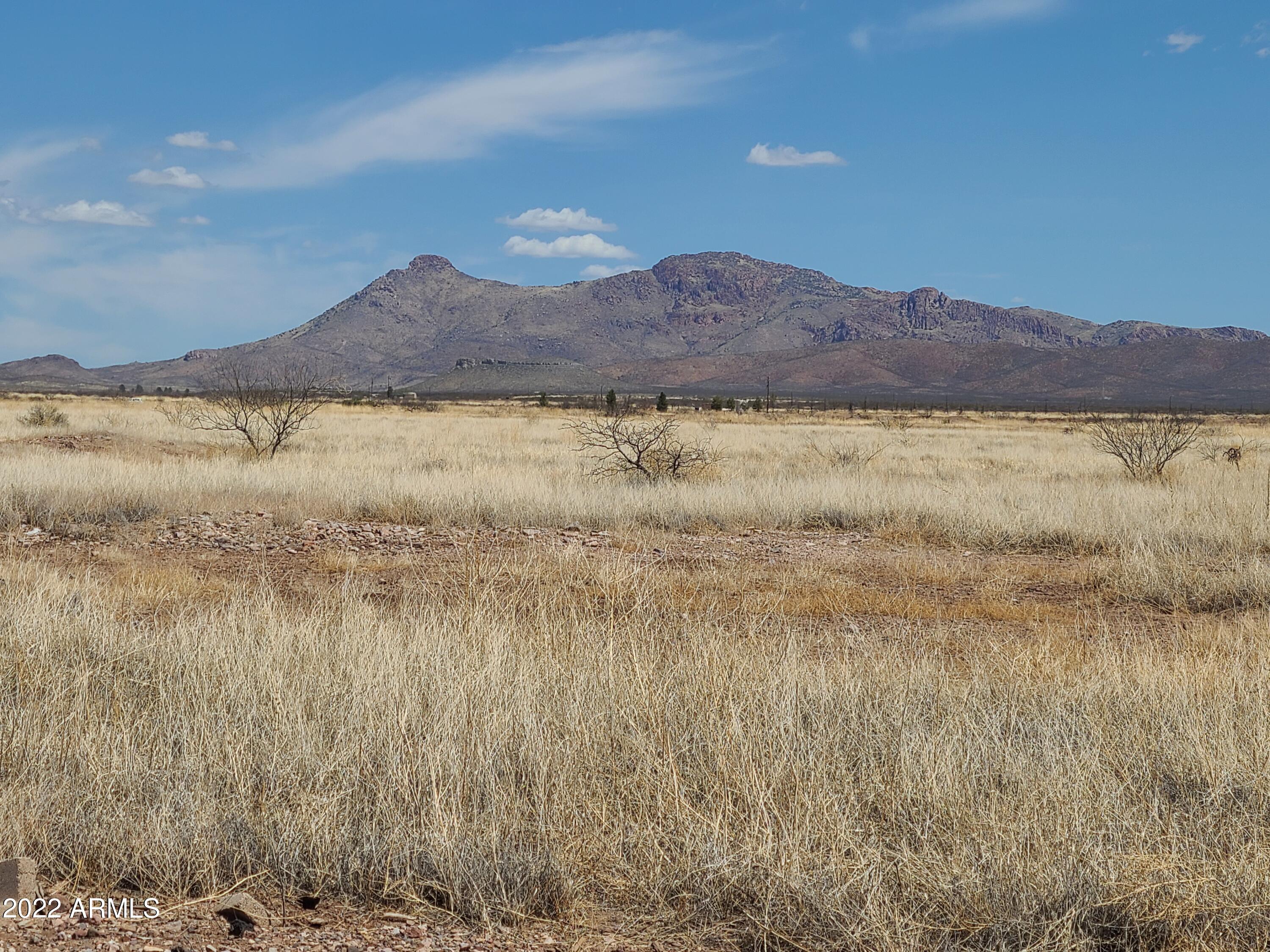 xxxx E Cipriana Drive -, Douglas, AZ 85607