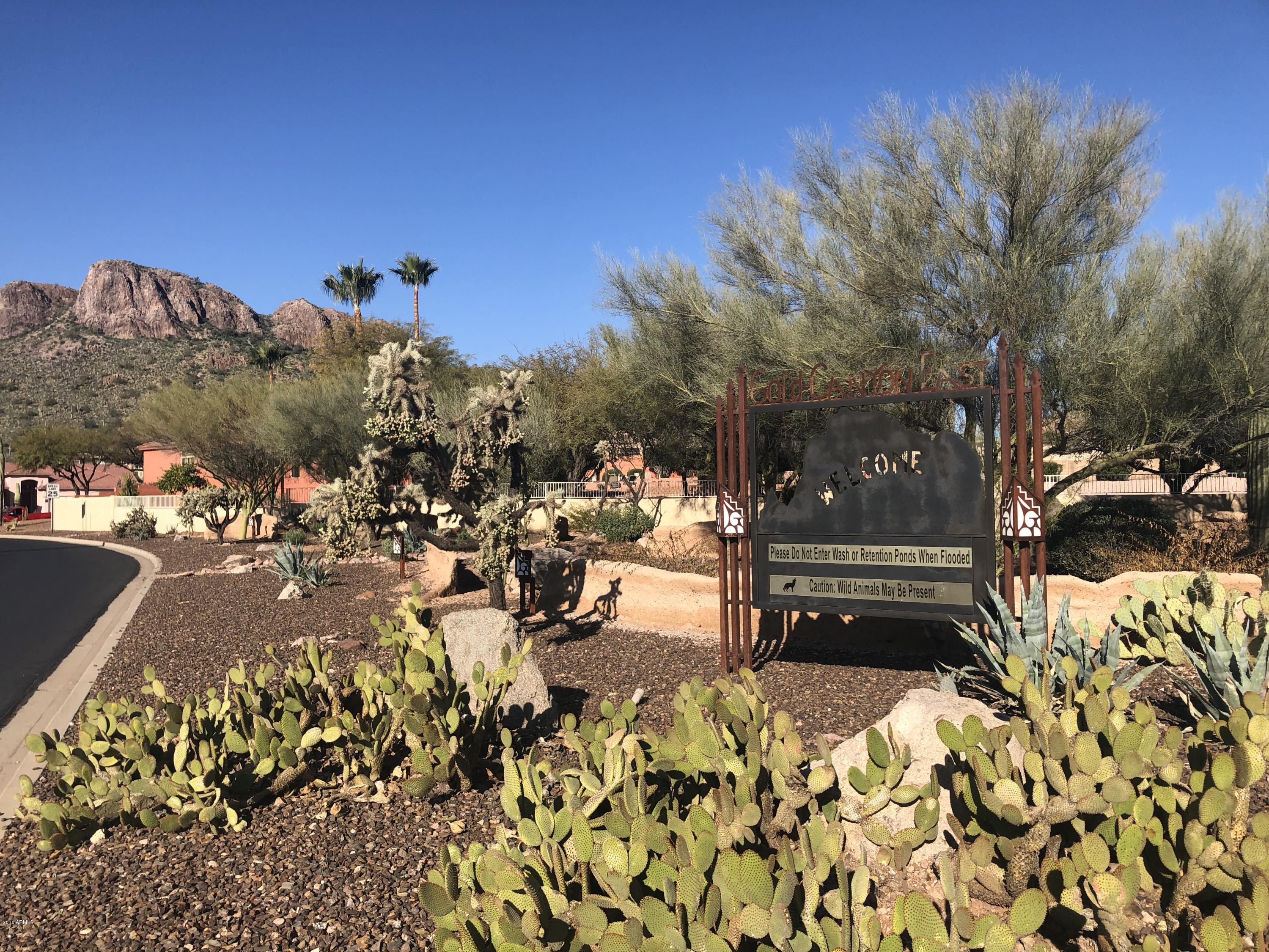 9766 E DEAD SURE Place 10, Gold Canyon, AZ 85118