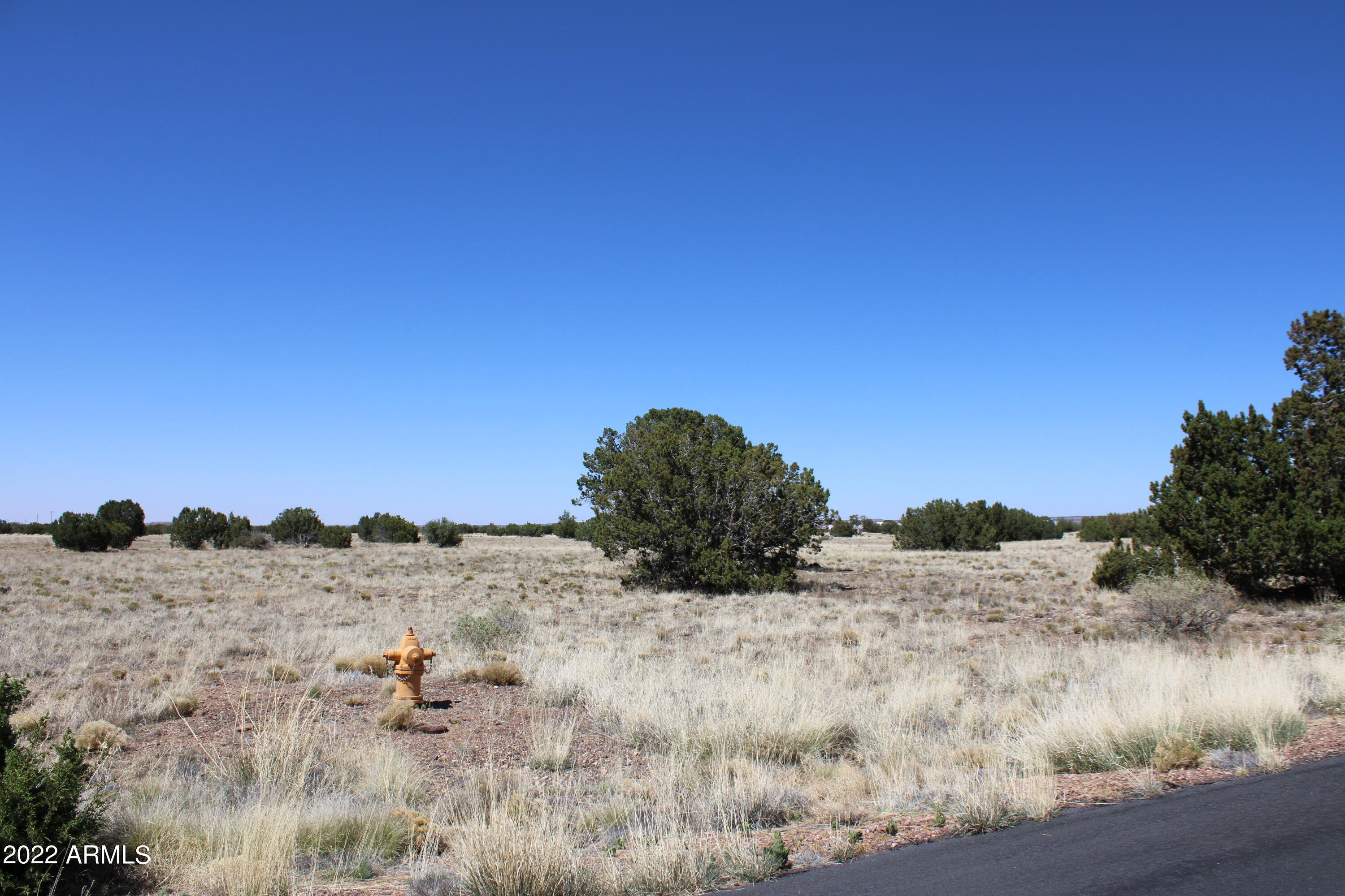 7700 Del Rio Drive 47, Show Low, AZ 85901