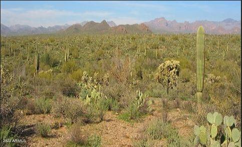 5ac N GUNSIGHT Lane -, Florence, AZ 85132