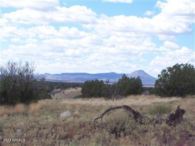 996 W Couchman's Trail 204, Ash Fork, AZ 86320