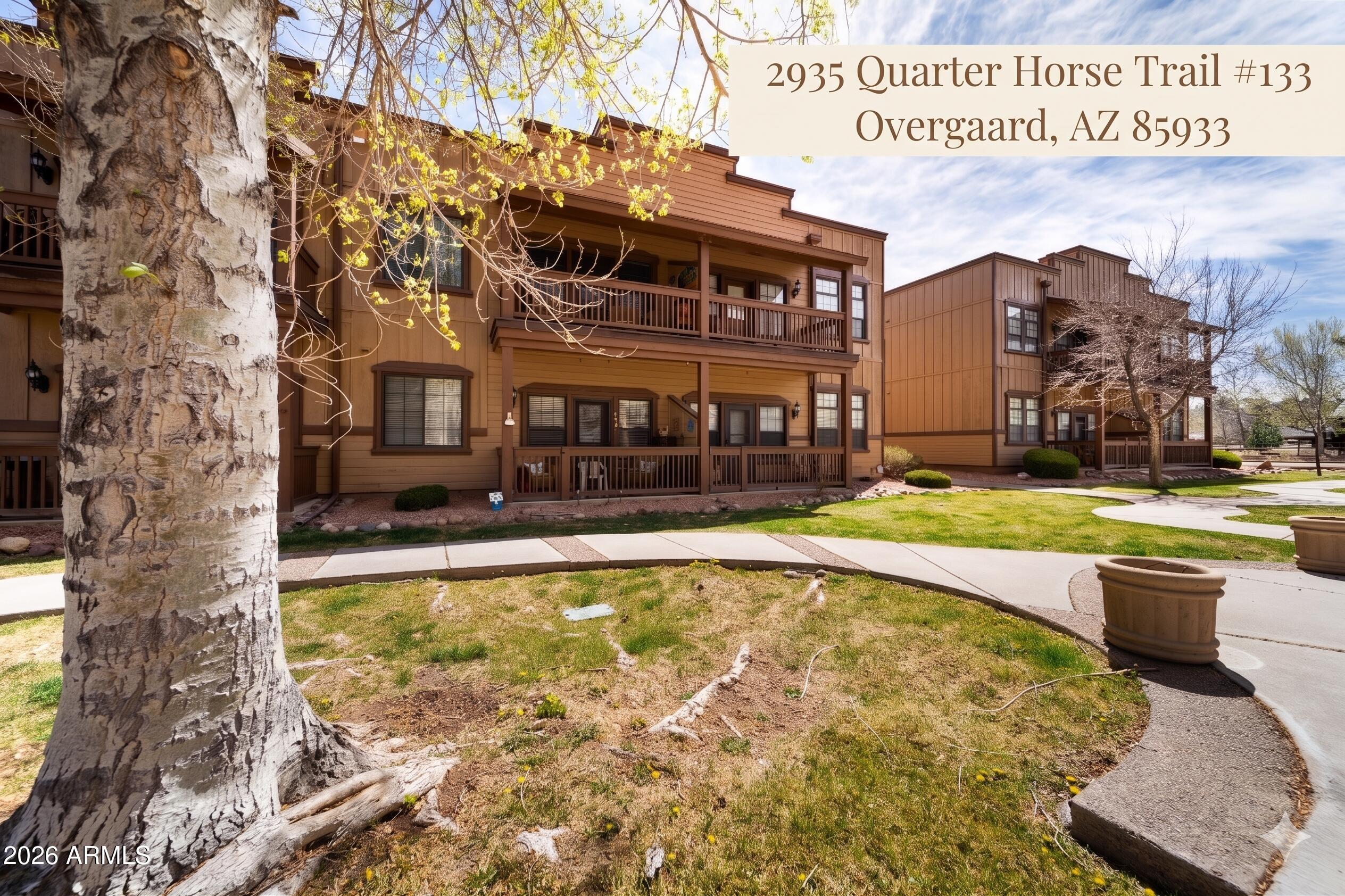 2395 Quarter Horse Trail 133, Overgaard, AZ 85933