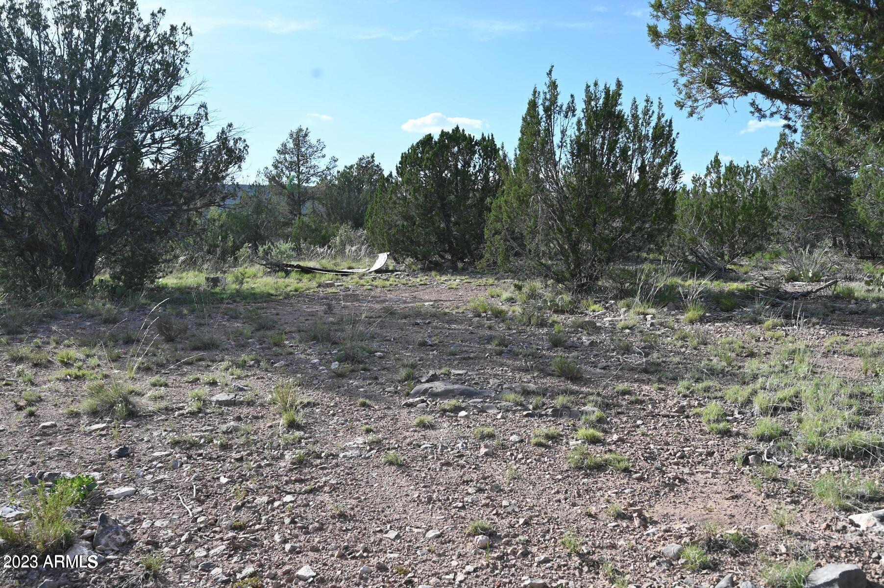 52084 N CALLE CIERVO 2064, Seligman, AZ 86337