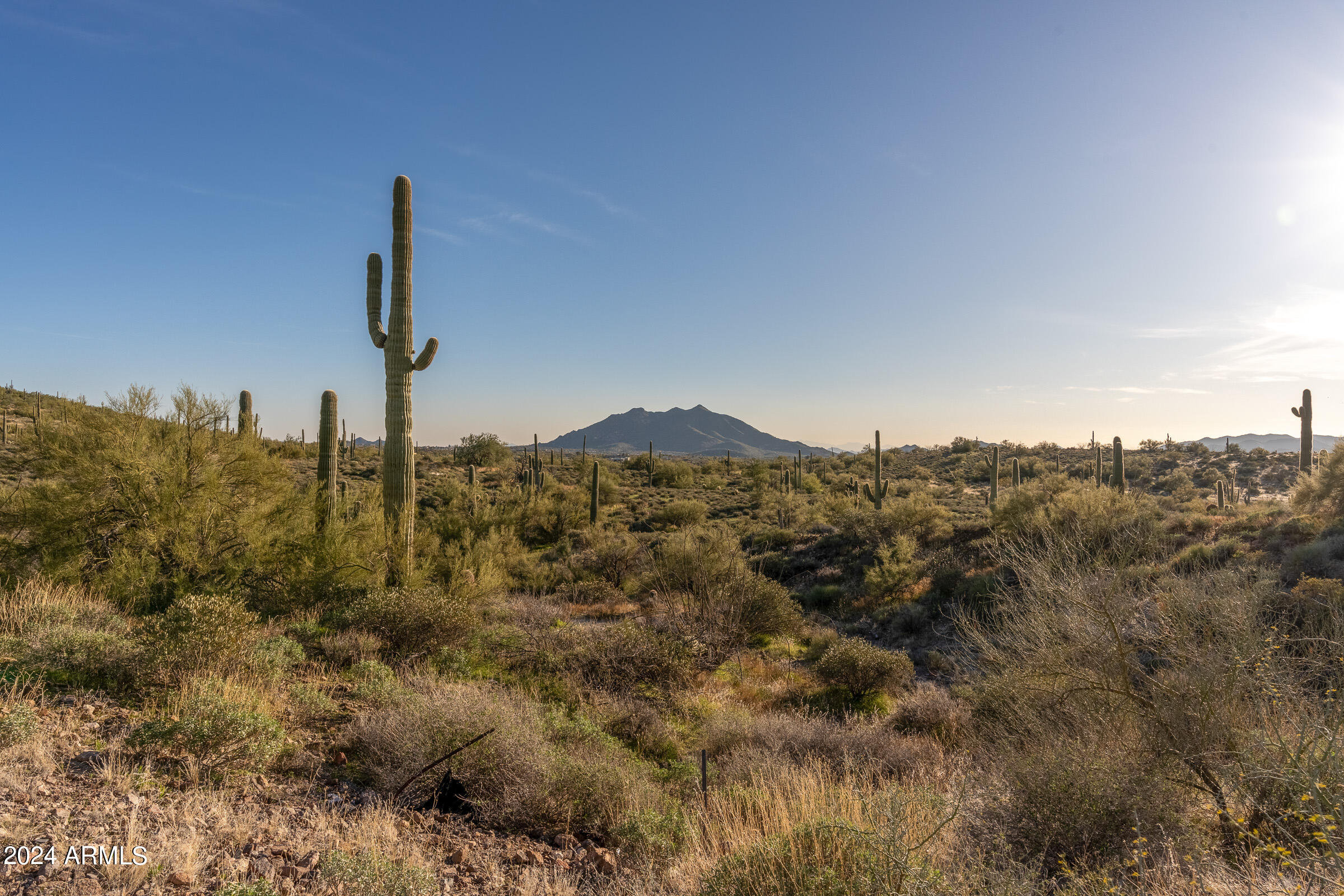 7347 E CONTINENTAL MTN ESTS Drive 9, Cave Creek, AZ 85331
