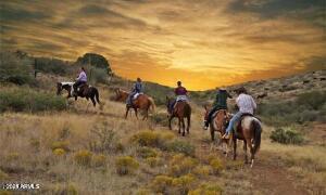 423rd N of Bethany Home Road 6, Tonopah, AZ 85354