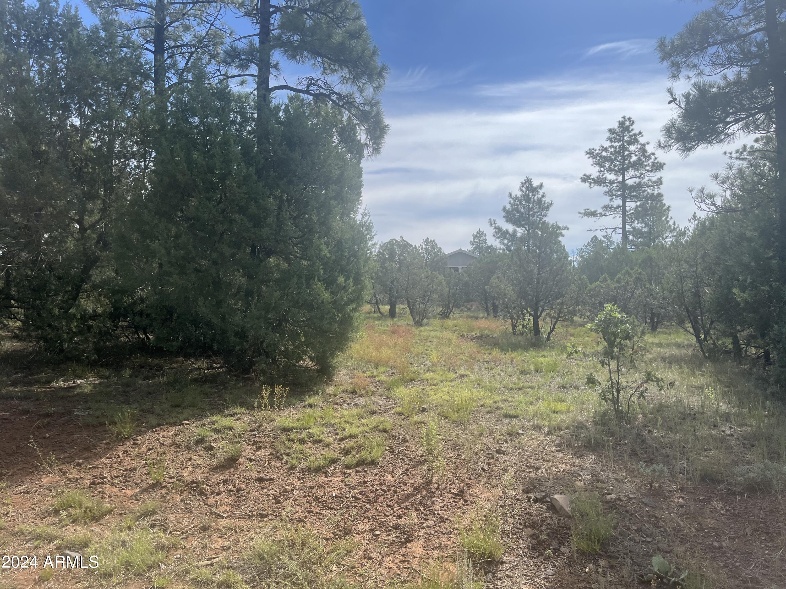 5481 RED SQUIRREL Lane 55, Lakeside, AZ 85929