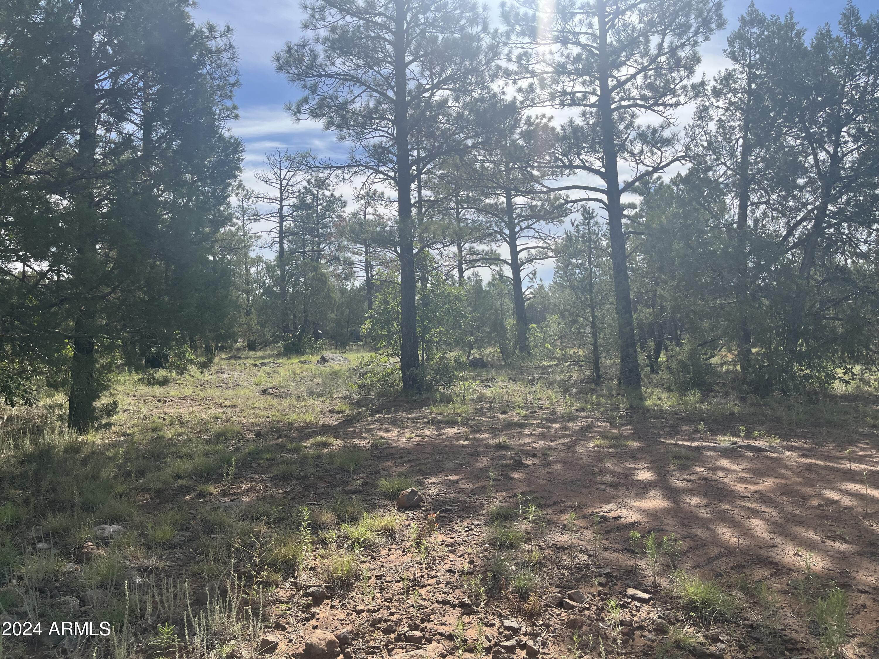 5509 RED SQUIRREL Lane 58, Lakeside, AZ 85929