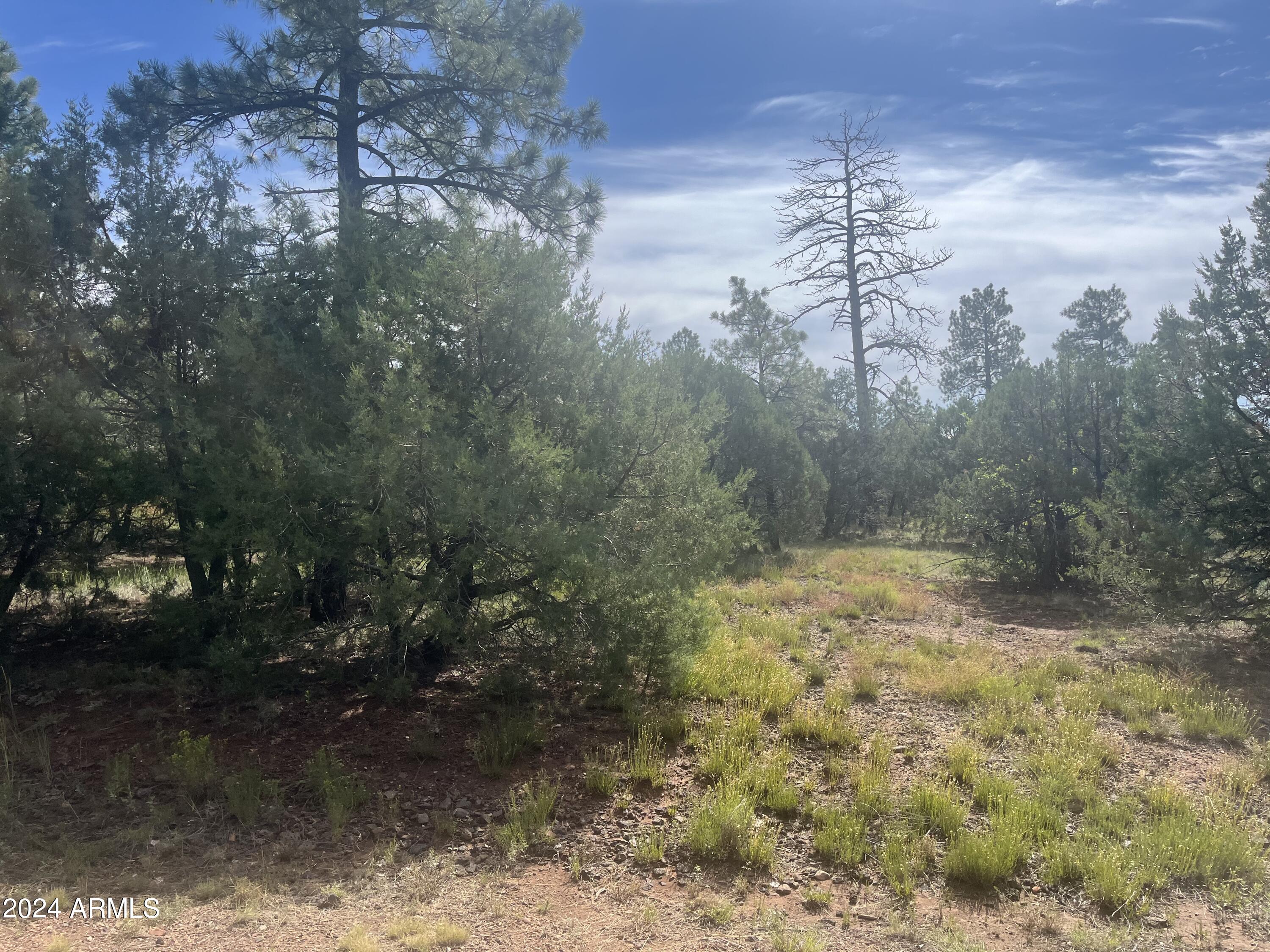 5455 RED SQUIRREL Lane 54, Lakeside, AZ 85929