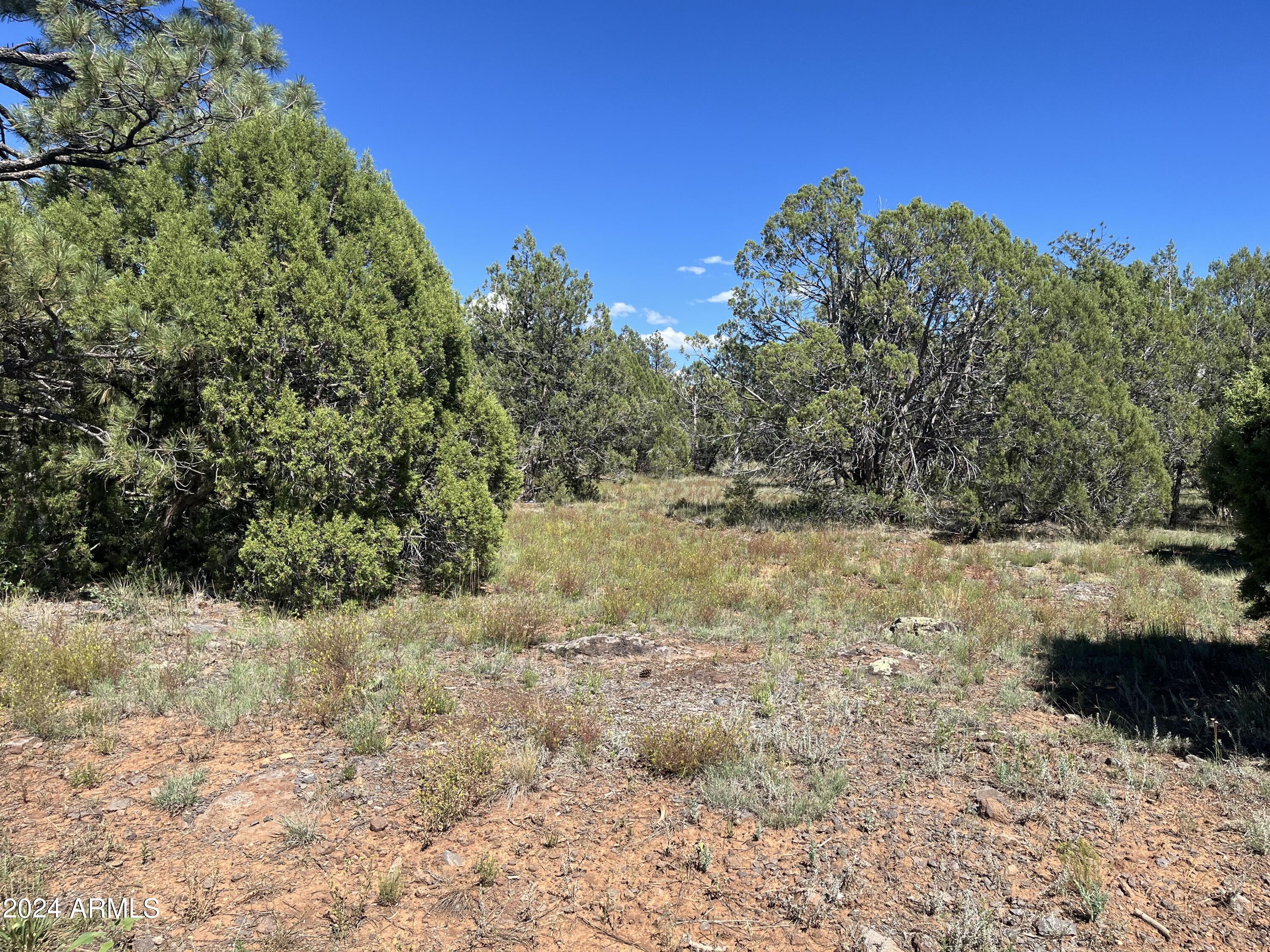 5541 GRAY WOLF Drive 43, Lakeside, AZ 85929