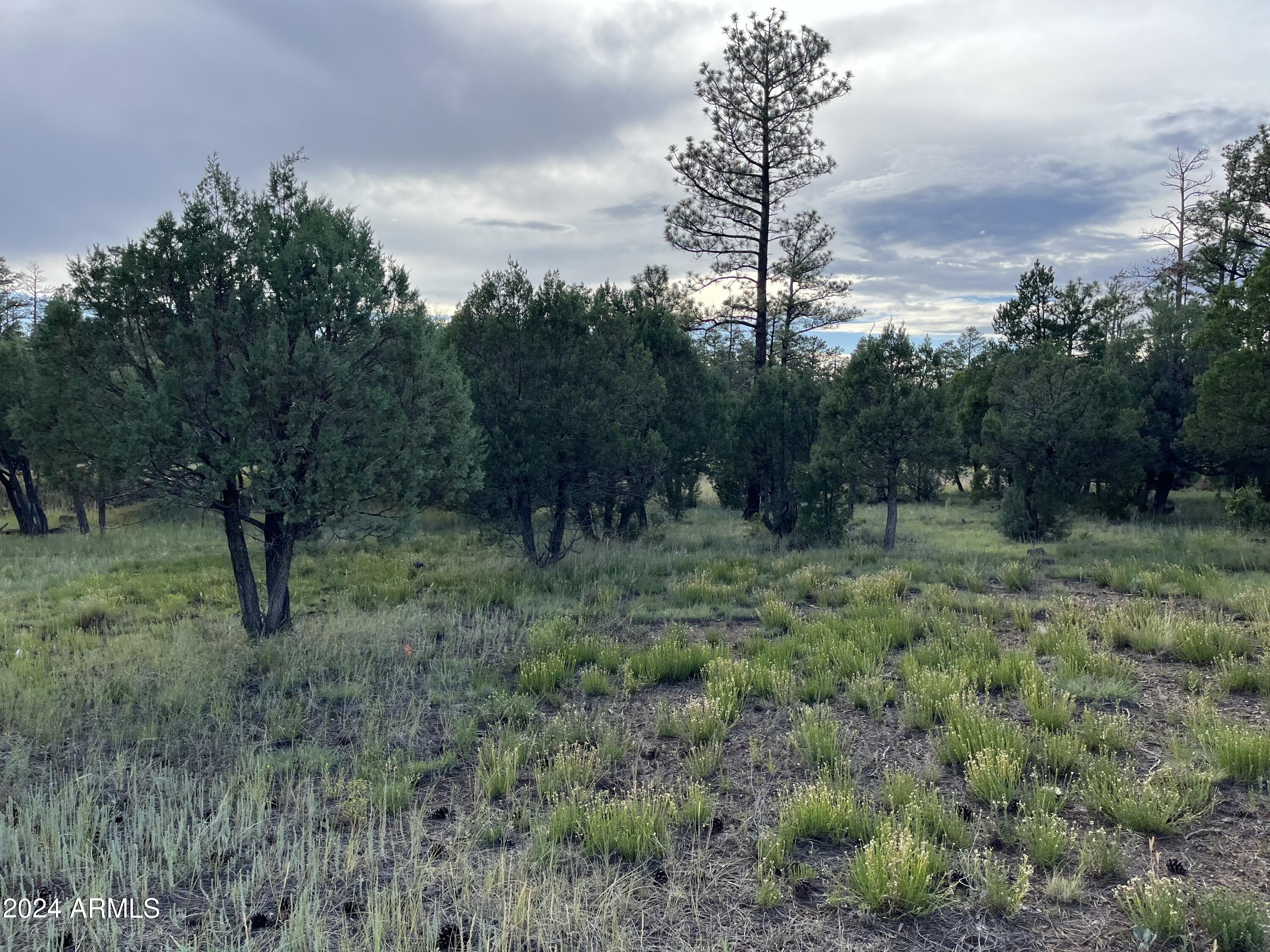 5402 RED SQUIRREL Lane 27, Lakeside, AZ 85929