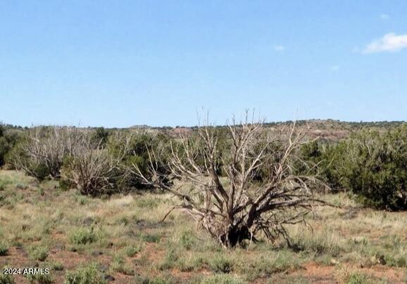 tbd 201-35-008B -, Concho, AZ 85924