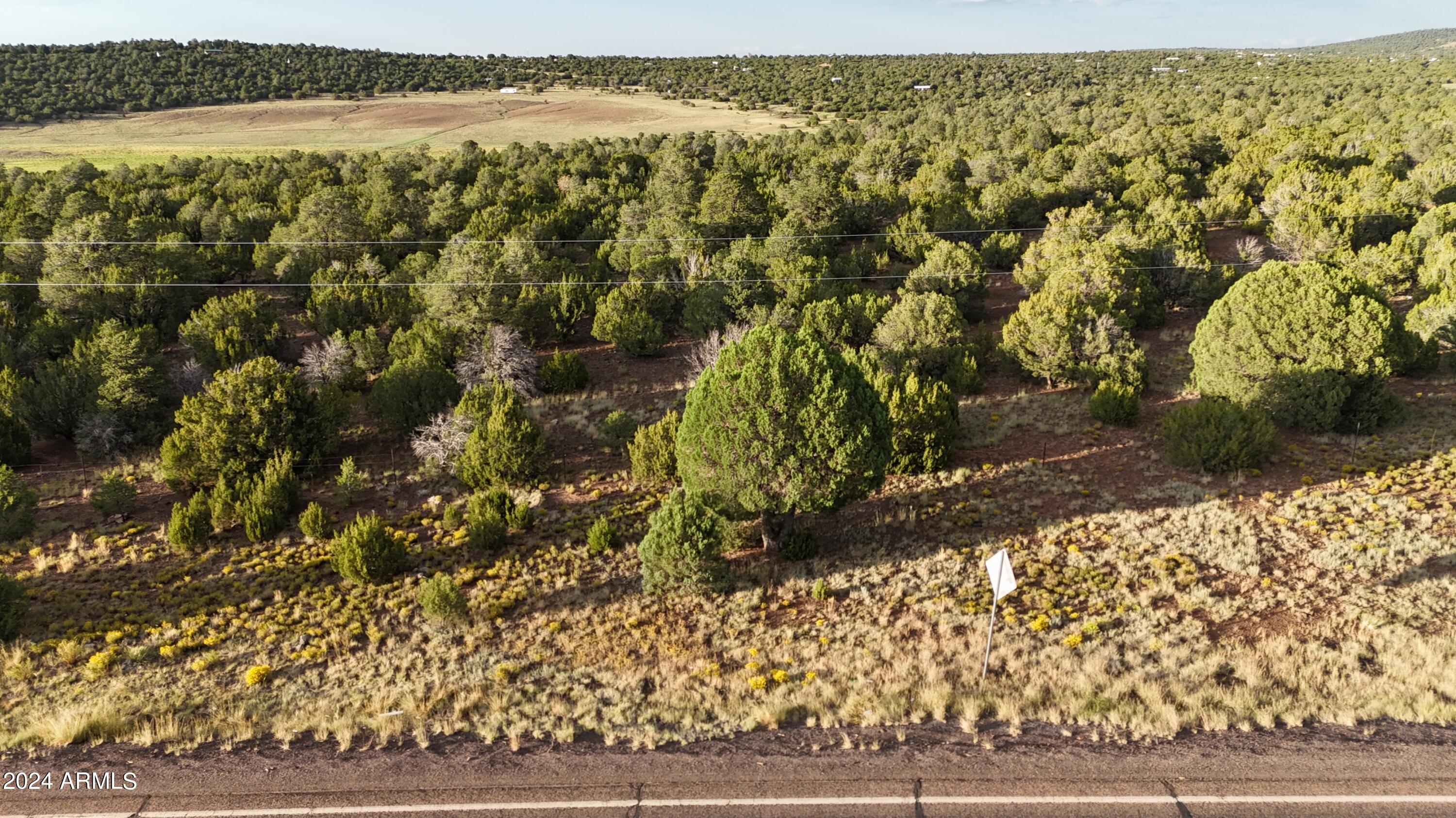 35555 US HIGHWAY 60 003, Show Low, AZ 85901
