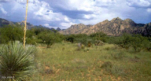 000 E COUGAR Trail 96, Saint David, AZ 85630
