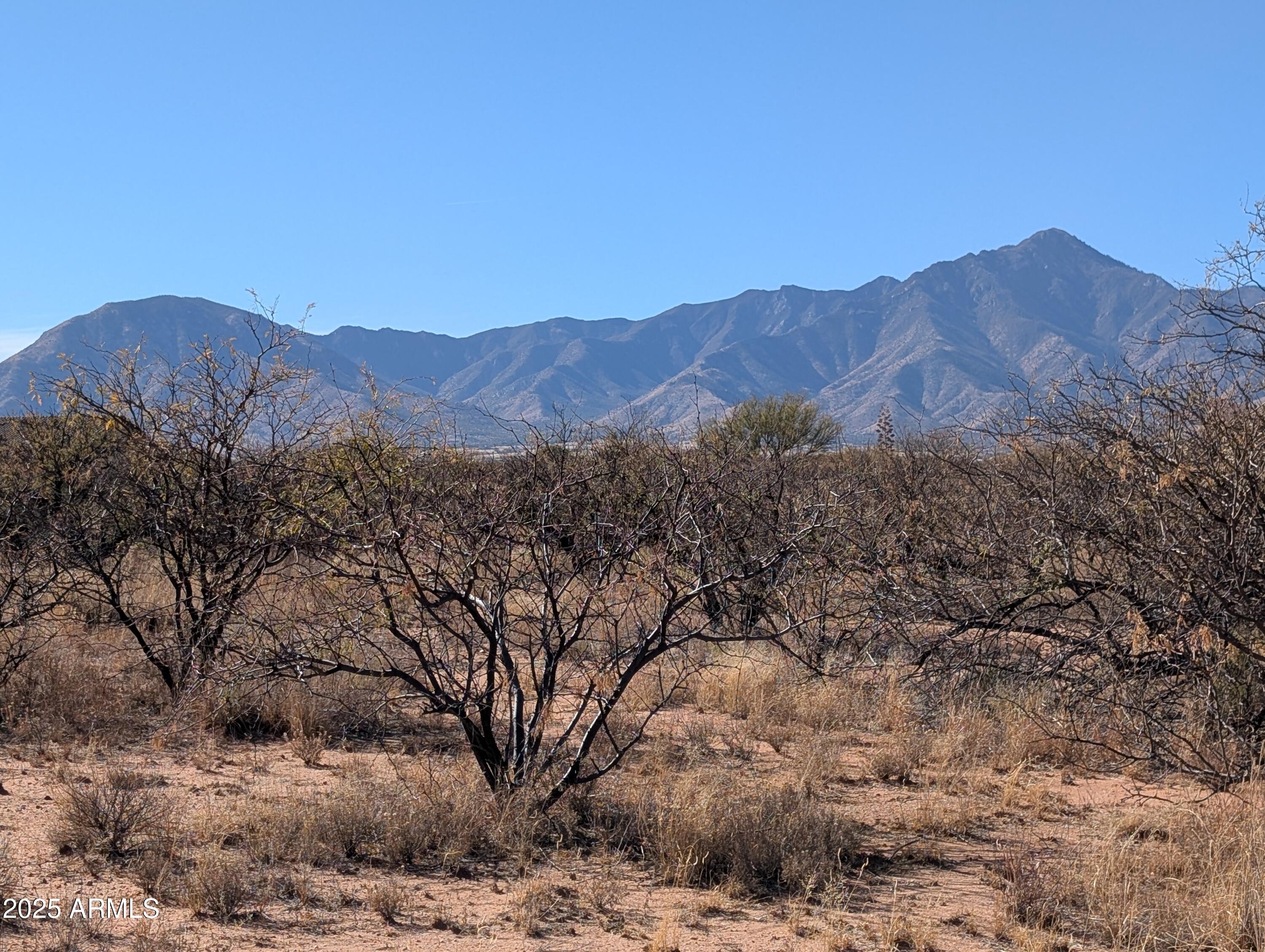 9701 E Adams Trail 5, Hereford, AZ 85615