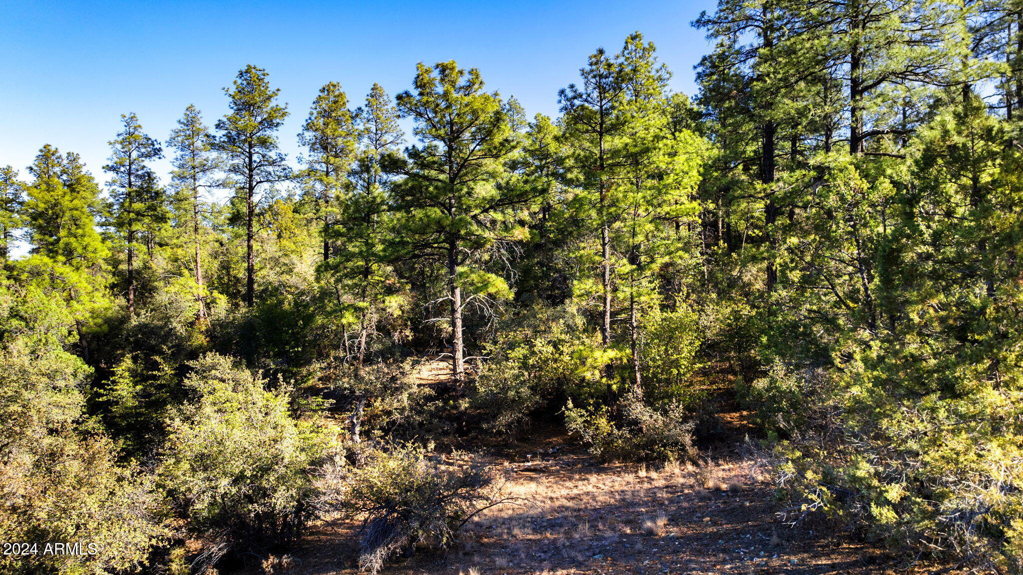 1101 WHITE SPAR Road '-', Prescott, AZ 86303