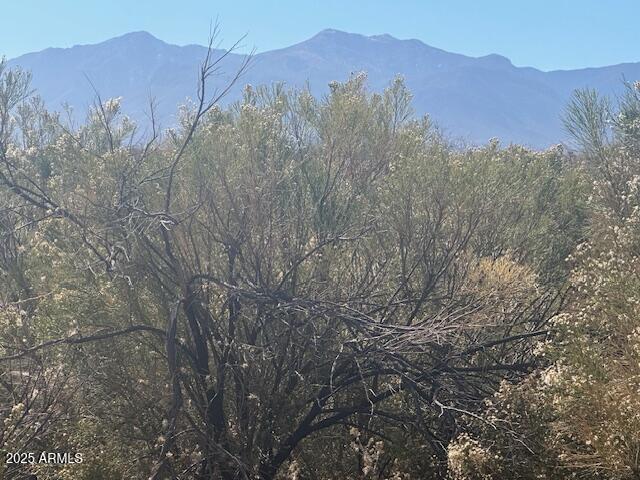 TBD E HWY 90 1, Sierra Vista, AZ 85635